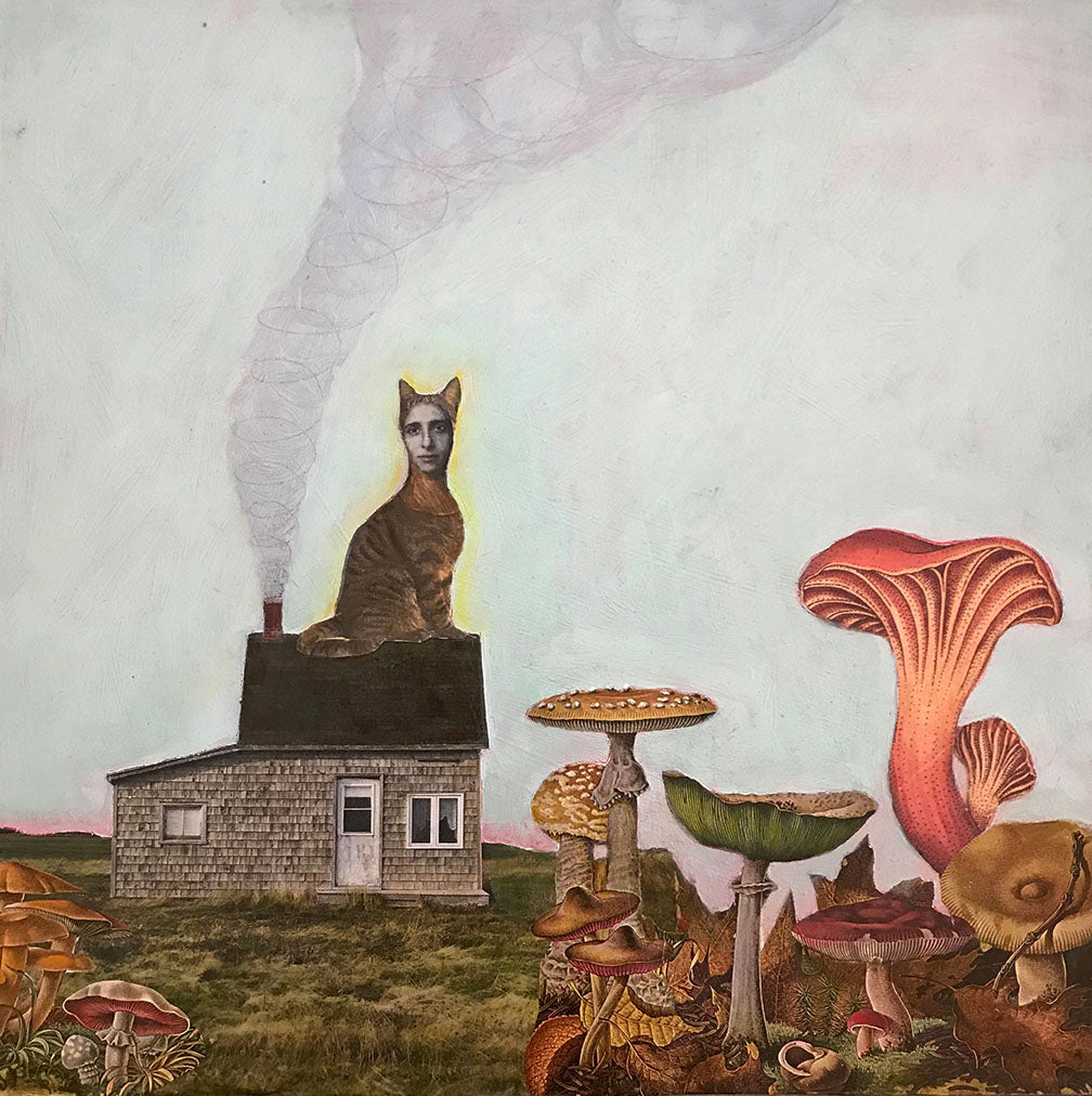 Suzanne Sbarge ~ Poisonous Mushrooms, 12" x 12"