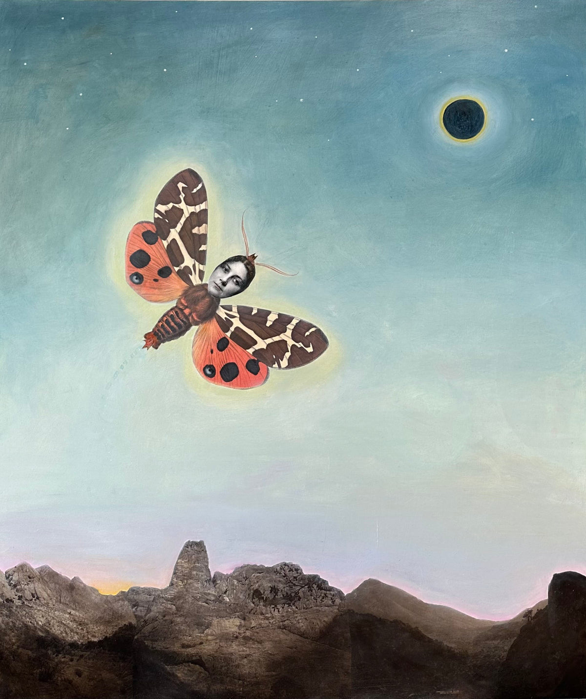 Suzanne Sbarge ~ Moth II, 42" x 36"