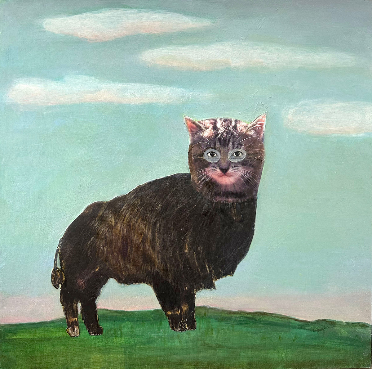 Suzanne Sbarge ~ Kitten Buffalo 12" x 12"