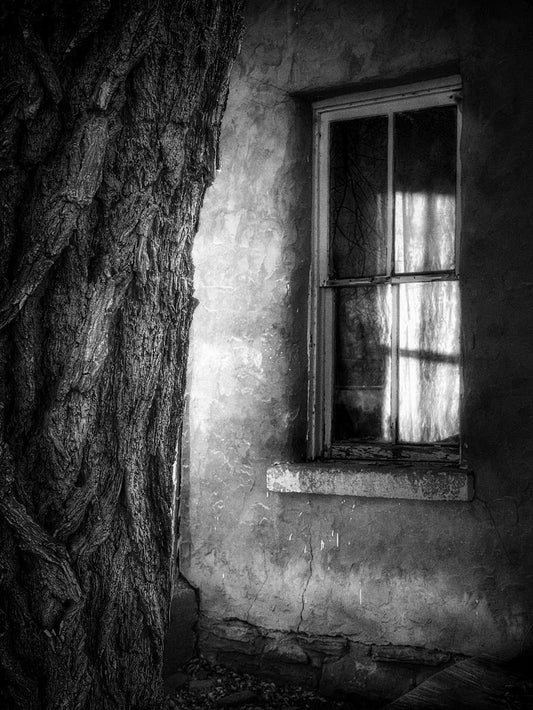 Dave Campbell ~ Window, Untitled #10, 15” X 12 1/2”x 1"