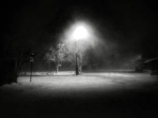 Dave Campbell ~ Snow, 22" X 27" x 1"