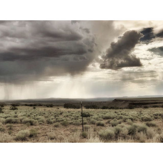 Dave Campbell ~ La Bajada, Untitled #2, 8” X 10”