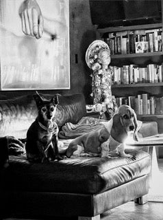 Dave Campbell ~ Companions, 15" x 12 1/2" x 1"