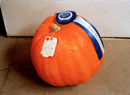 Margaret Moore ~ "Prize Pumpkin" Valencia County Fair, Los Lunas, 11" x 14"
