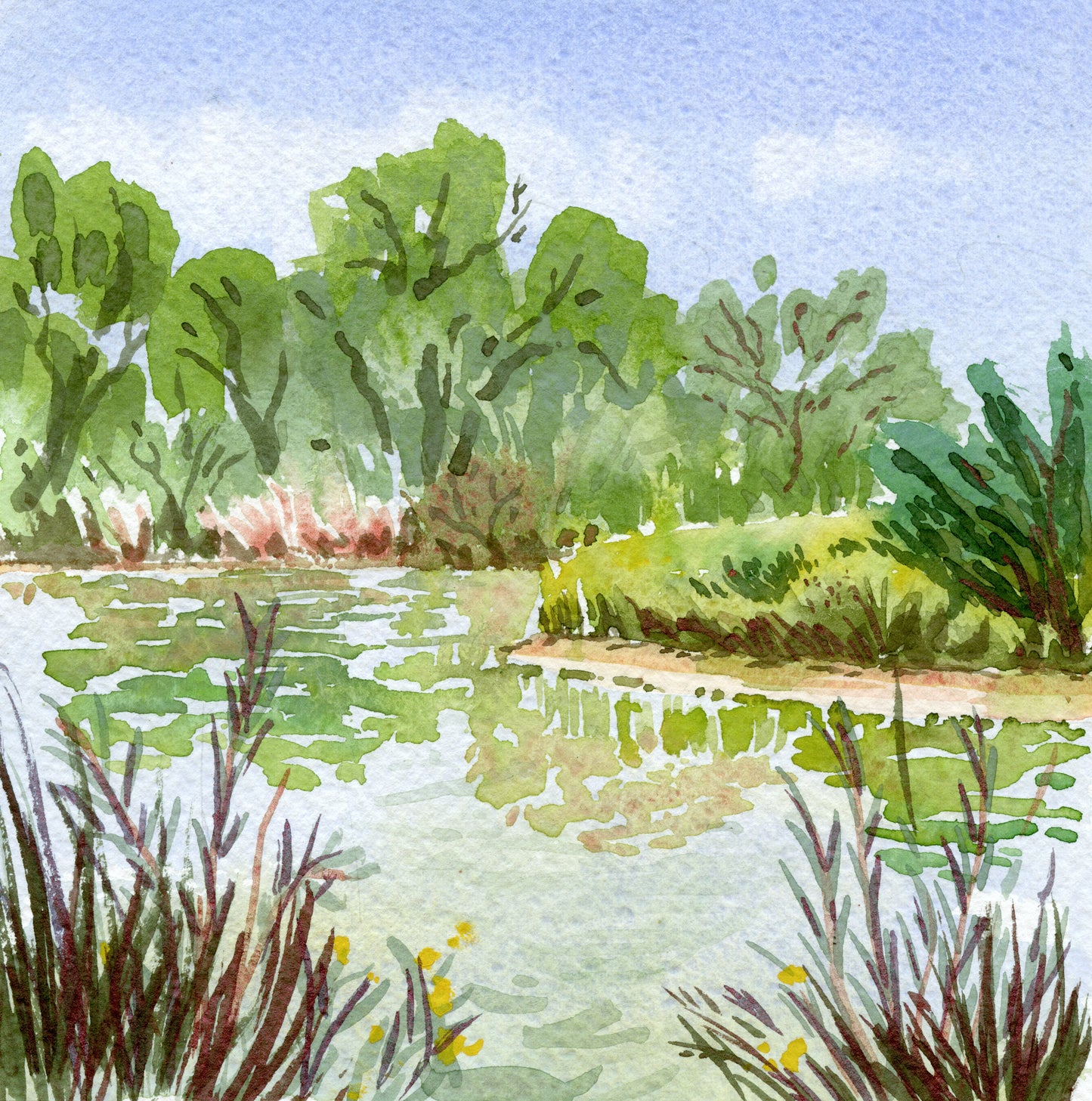 Sean Hudson ~ North Pond, en plein air