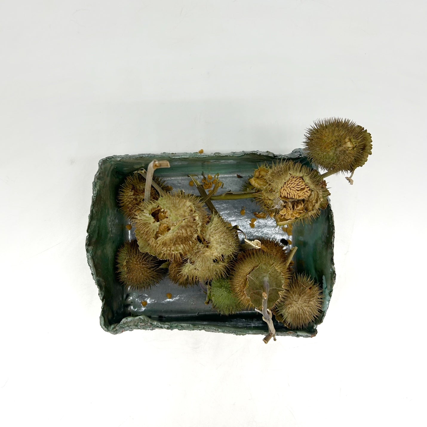 Suzanne Vilmain ~ "Basket of Spikes", 3 3/8" x 7 1/2" x 5 1/2"