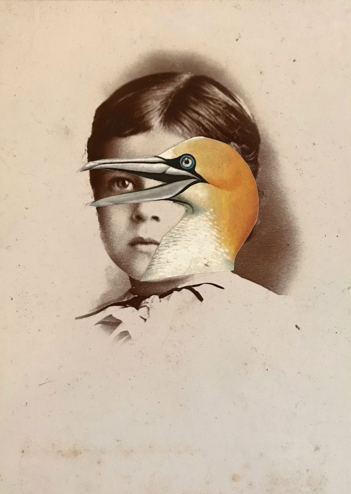 Suzanne Sbarge ~ Sea Bird, 6.5" x 4"