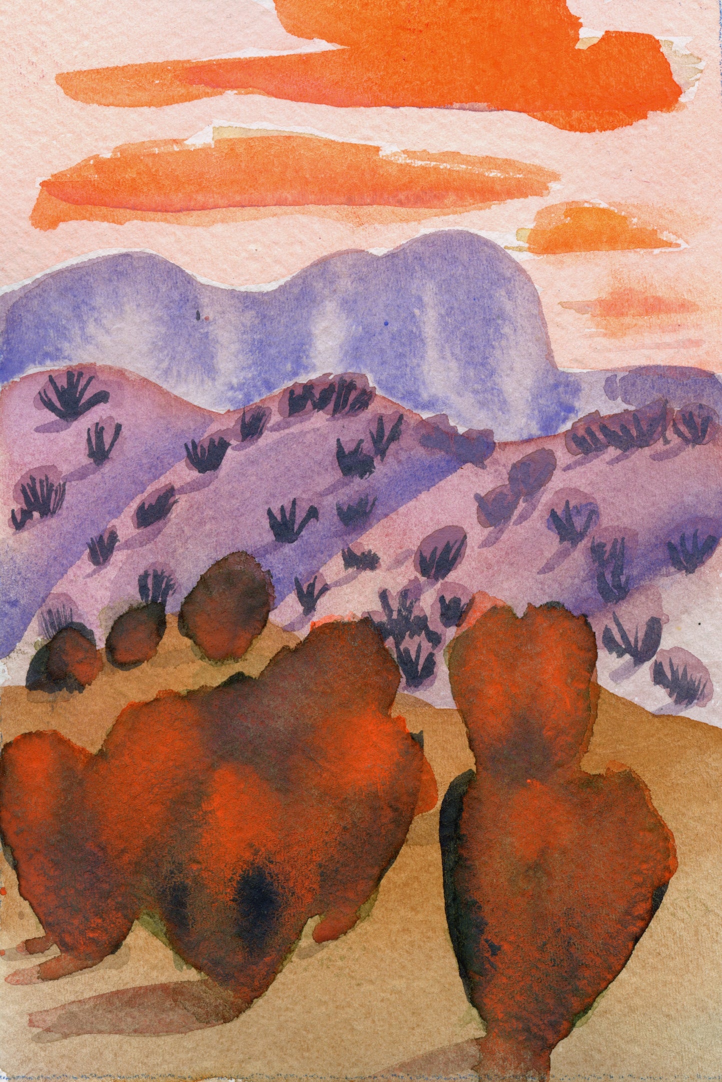 Sean Hudson ~ Sunbaked Cascade