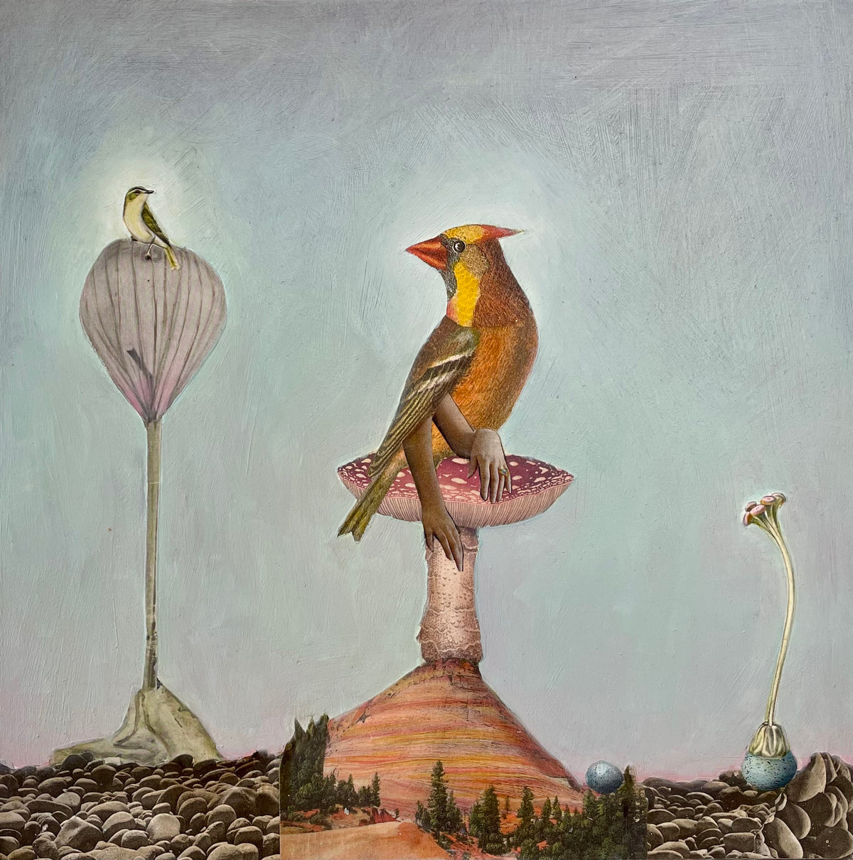 Suzanne Sbarge ~ Mushroom Perch, 12" x 12"