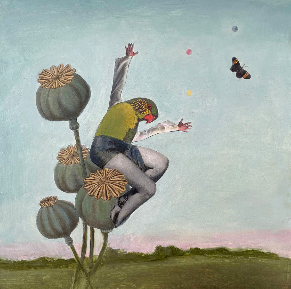 Suzanne Sbarge ~ Parrot and Pods, 12" x 12"