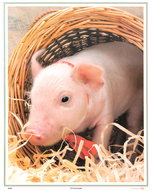 2026 Calendar El Extraviada (Pig)