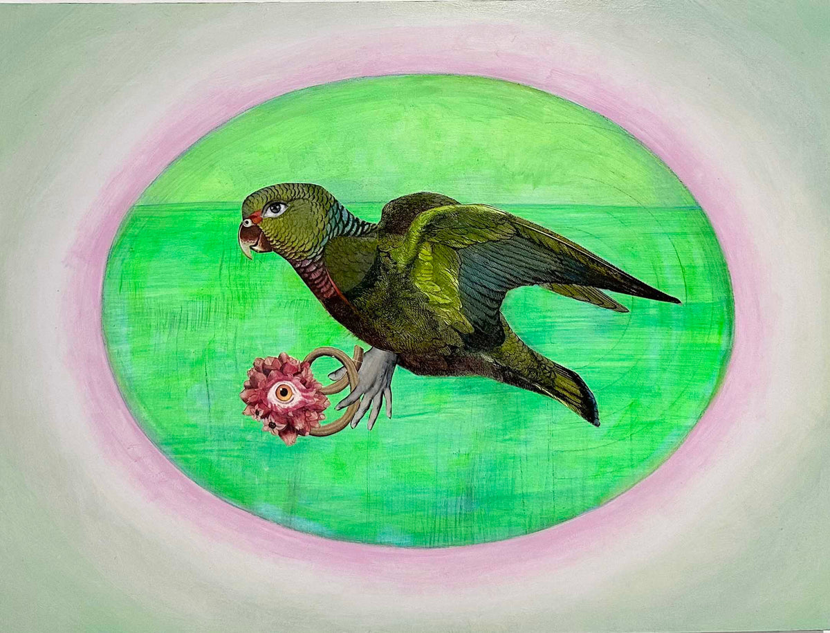 Suzanne Sbarge ~ Parrot Eye, 12" x 16"