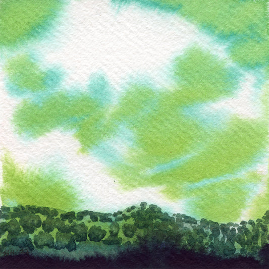 Sean Hudson~ Labradoresence
