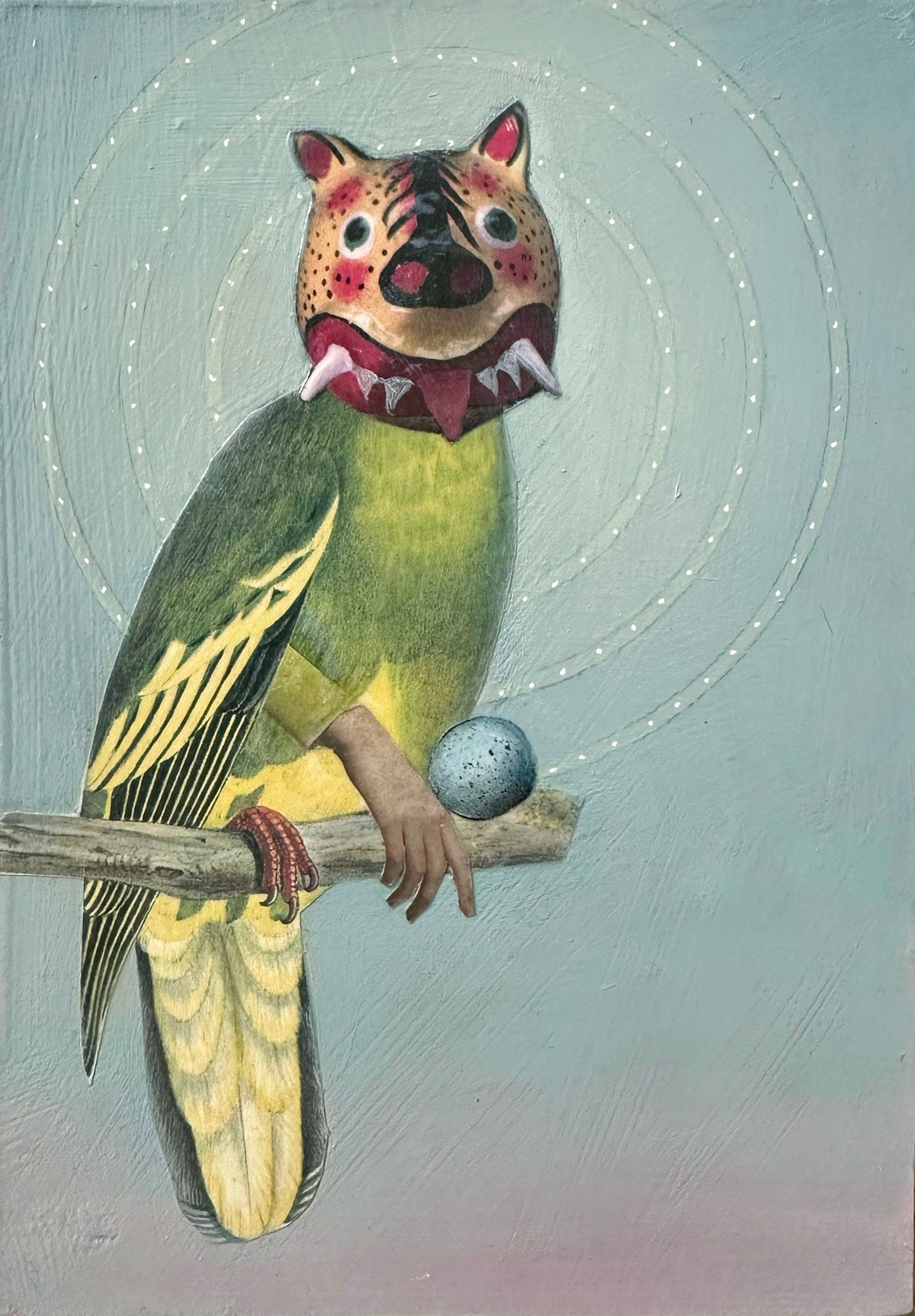 Suzanne Sbarge ~ Masked Parrot, 7" x 5"