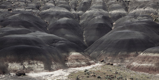 Walter W. Nelson ~ The Black Place Untitled 68B, 22 1/2" x 35"