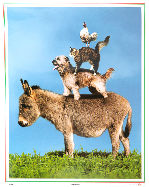 2026 Calendar Si Se Pudo (Animal Stack)