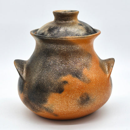 Ayeen Telopa ~ 2 1/2 Quart Traditional Bean Pot with Lid, 8" x 7 1/2" x 7 3/4"