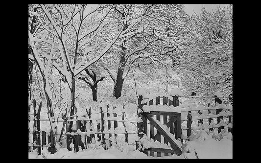 Walter W. Nelson ~ Bode's Orchard in Snow, Abiquiu NM, 24" x 28"