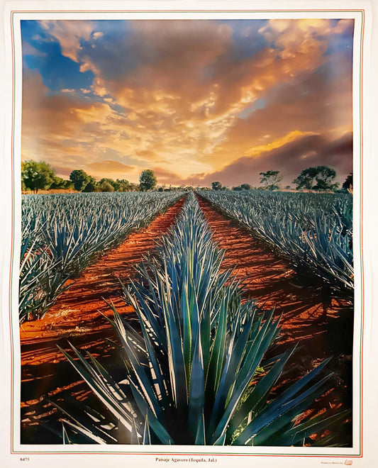 2026 Calendar Paisaje Agavero (Agave)
