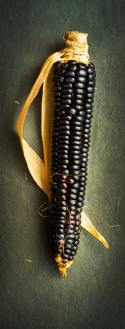 Kitty Leaken ~ Still Talking to the Corn, 43" x 17"