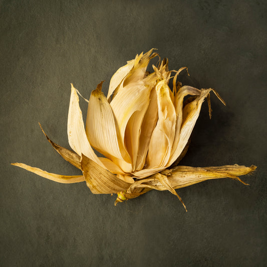 Kitty Leaken ~ CC's Special Blue Corn with Husk III, 16" x 16"