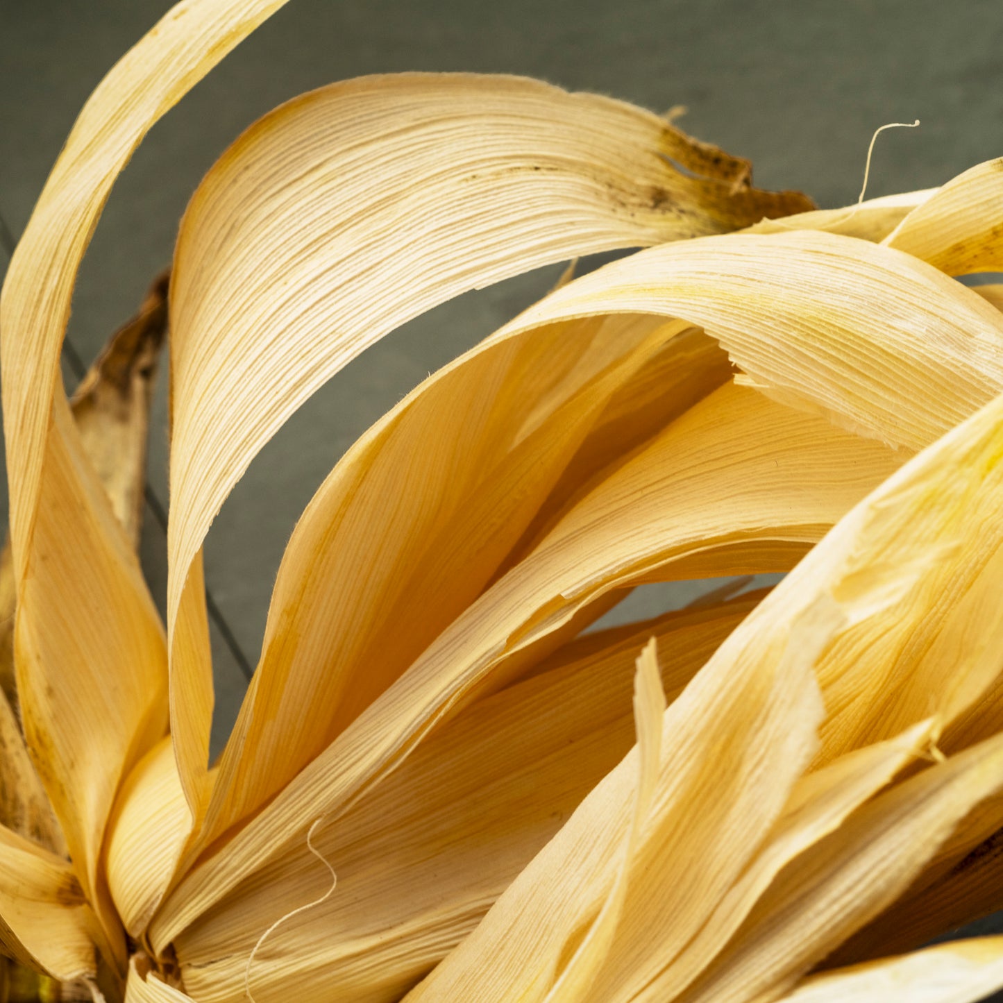 Kitty Leaken ~ Corn Husk, 16" x 16"