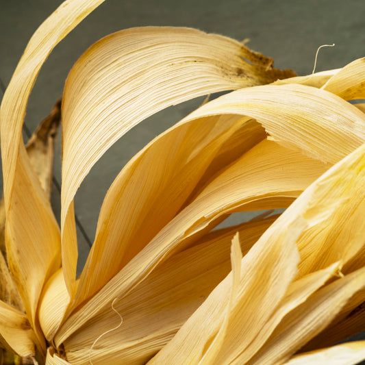 Kitty Leaken ~ Corn Husk, 16" x 16"