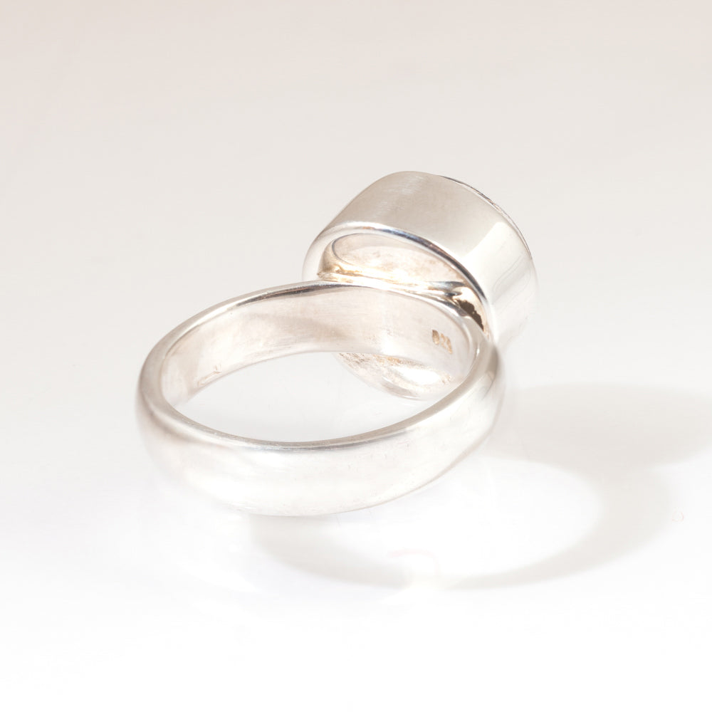 LeeAnn Herreid ~ Compass Ring