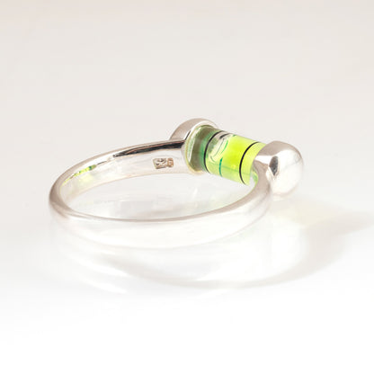 LeeAnn Herreid ~ Mini Level U-Shank Ring