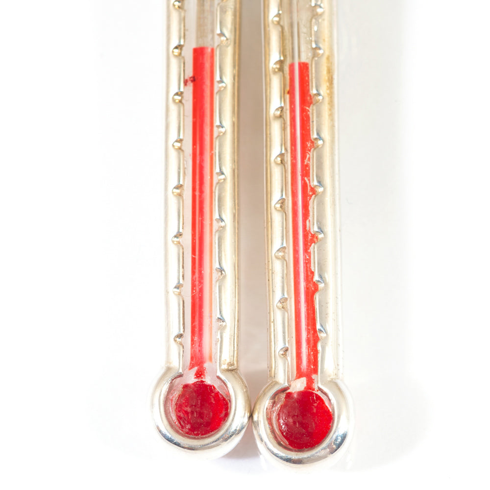 LeeAnn Herreid ~ Thermometer Earrings