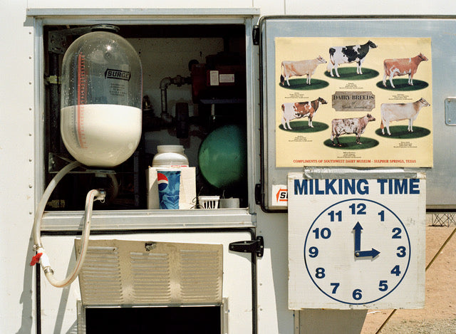 Margaret Moore ~ "Milking Time" Santa Fe County Fair NM, 24 1/4" x 29"
