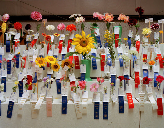Margaret Moore ~ "Prize Flowers" Torrance County Fair, Estancia NM  24 1/4" x 29"