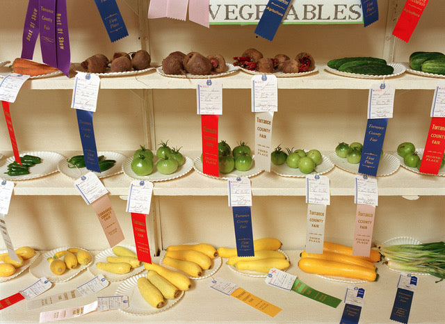 Margaret Moore ~ "Prize Veggies" Torrance County Fair, NM, 26" x 30"