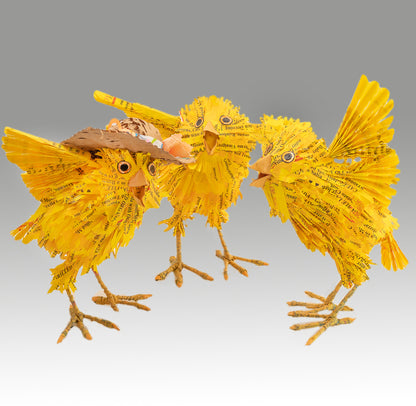 Rick Phelps ~ Yellow Spring Chick, 9" x 8" x 8"