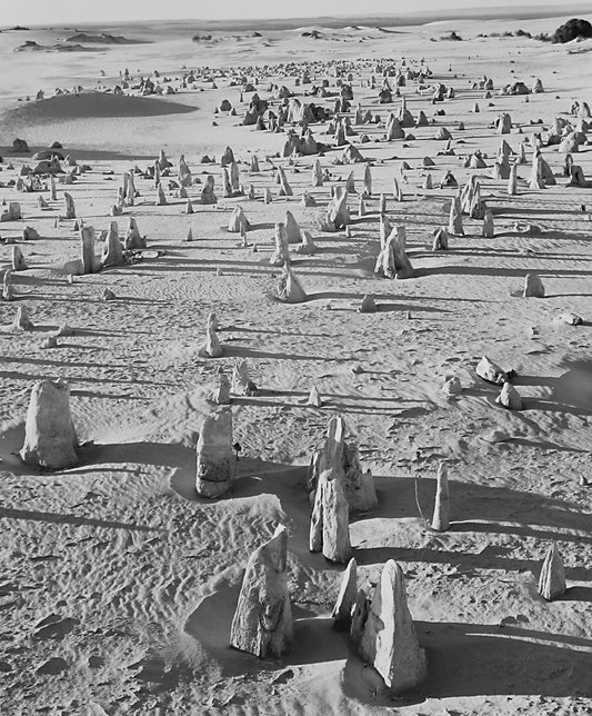 Walter W. Nelson ~ Pennacles, Western Australia, 28" x 24"