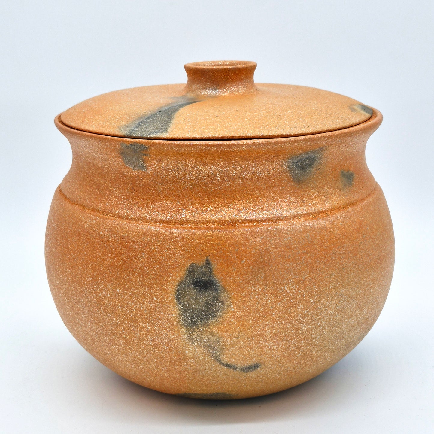 Rhonda Avidon ~ 5 Quart Bean Style Pot with Lid, 8" x 9 1/2" x 9 1/2"