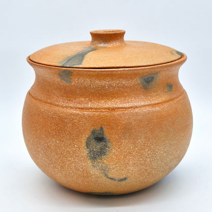 Rhonda Avidon ~ 5 Quart Bean Style Pot with Lid, 8" x 9 1/2" x 9 1/2"