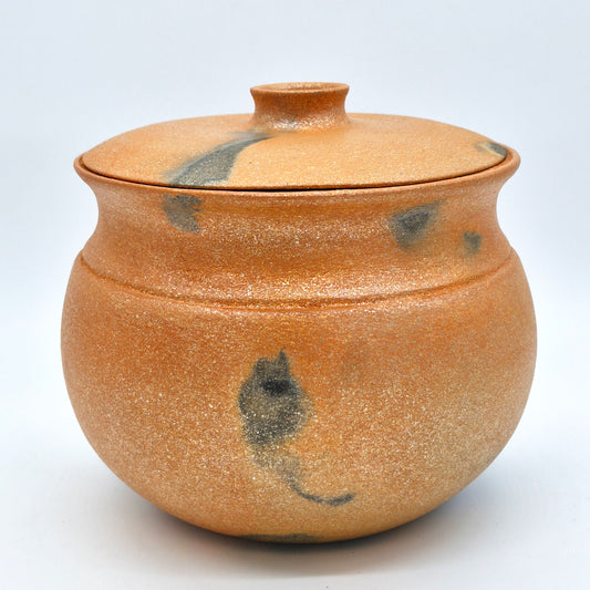 Rhonda Avidon ~ 5 Quart Bean Style Pot with Lid, 8" x 9 1/2" x 9 1/2"