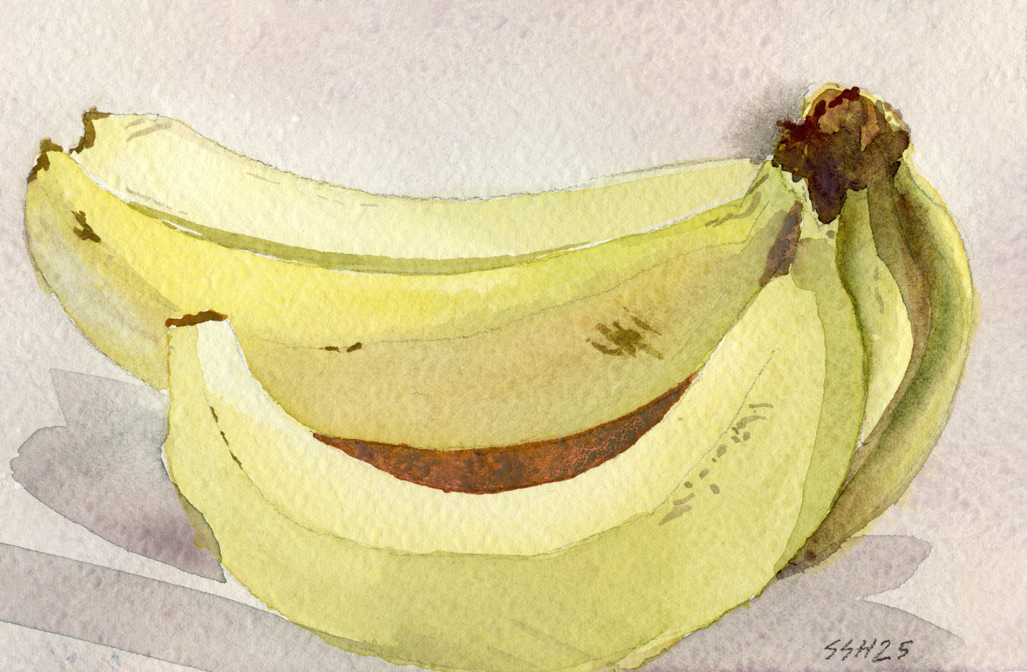 Sean Hudson ~ Studio Bananas