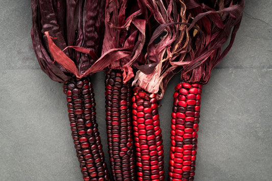 Kitty Leaken ~ Talking to the Corn, Red, 15" x 28 1/2"