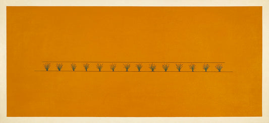 Walter W. Nelson - 14 Ocotillo, 28" x 60" x 2"