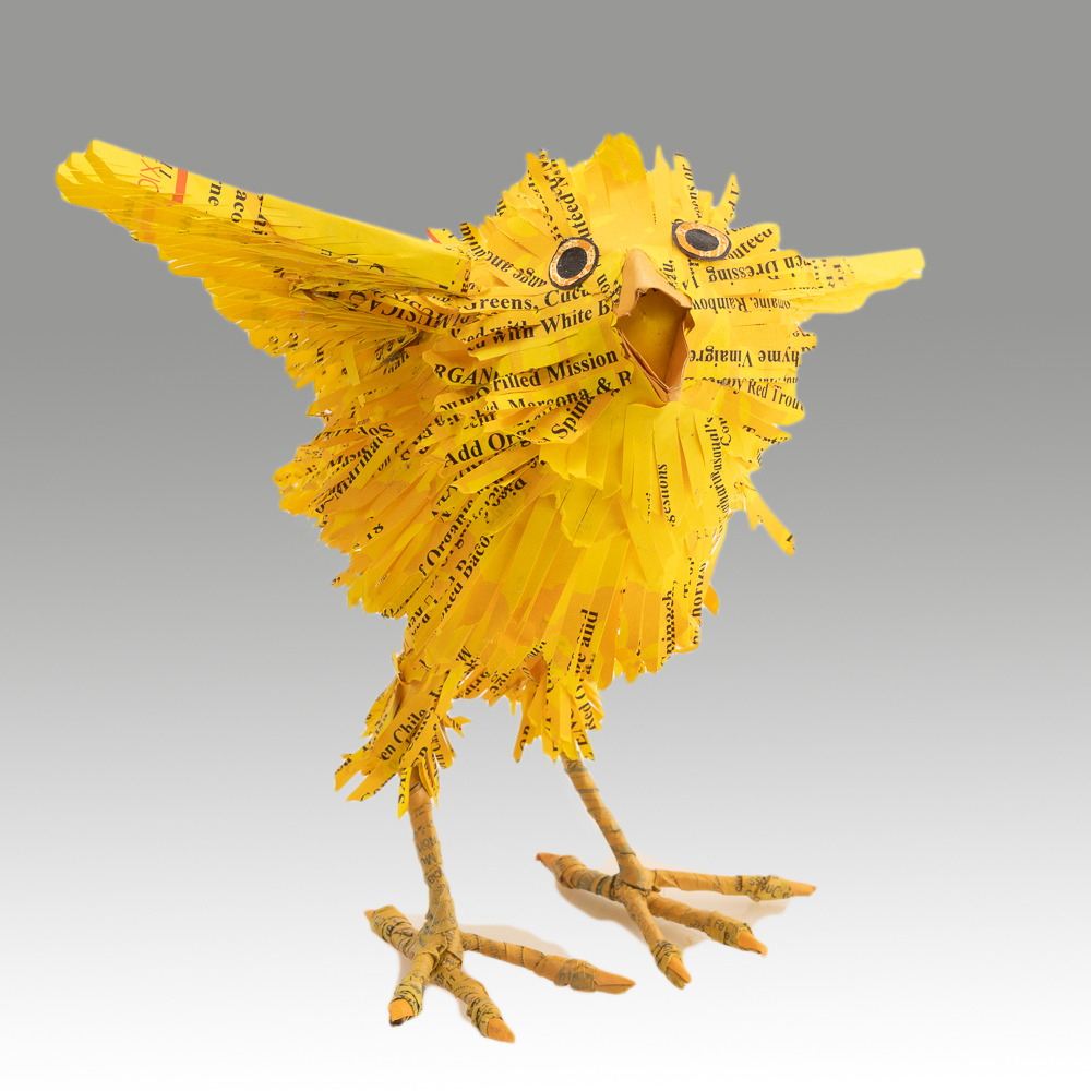 Yellow Spring Chick