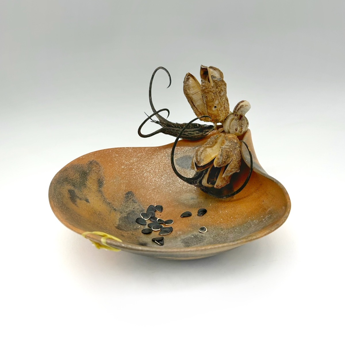 Yucca Pod Decorative Open Bowl