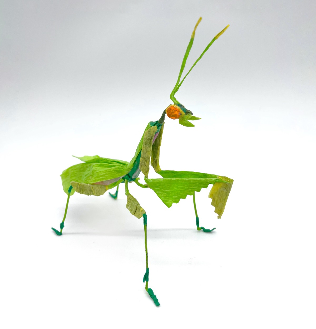 Praying Mantis