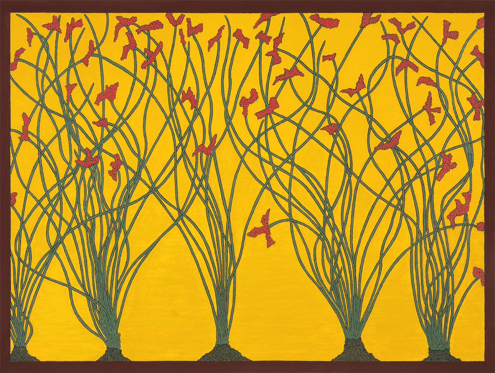 Ocotillo with Flowers