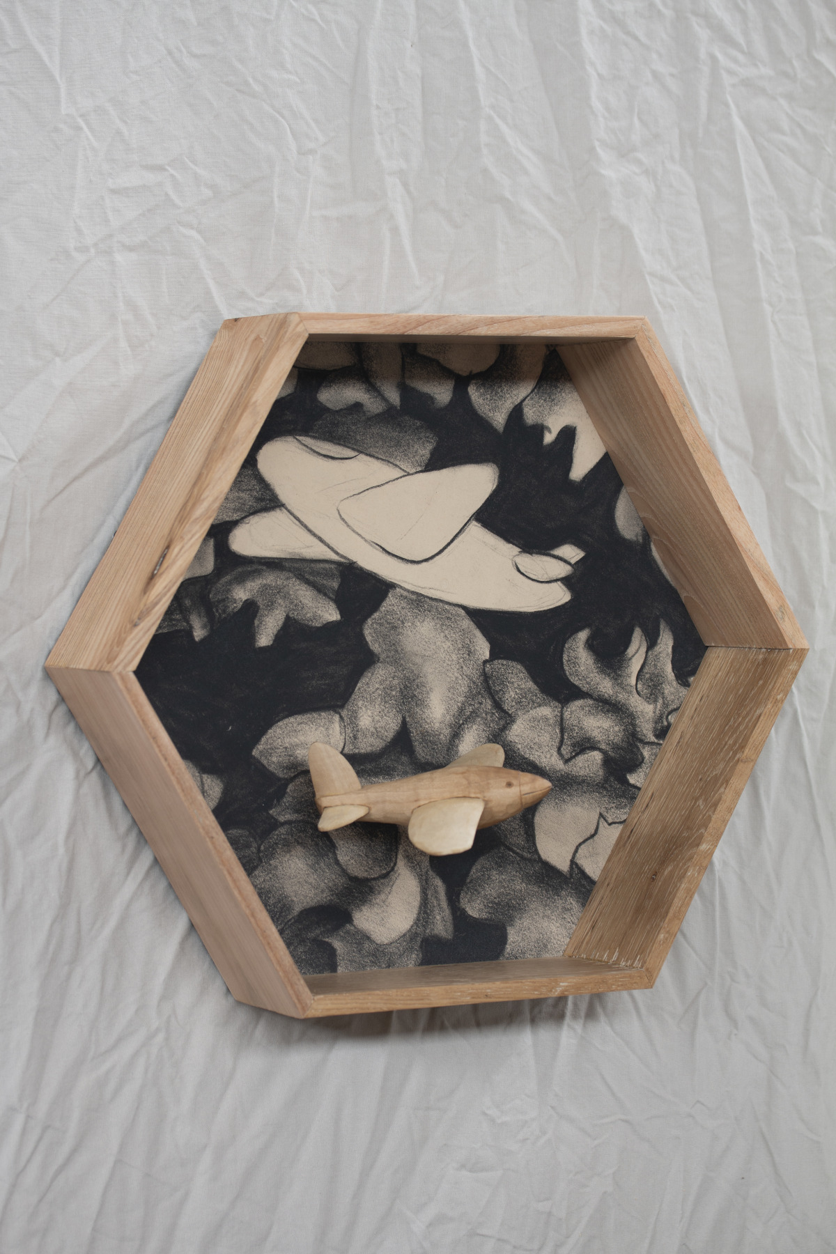 Flight with Plane In collaboration with Gwyn Madeen