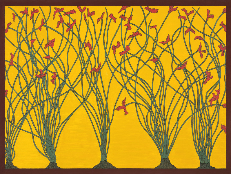 Ocotillo with Flowers