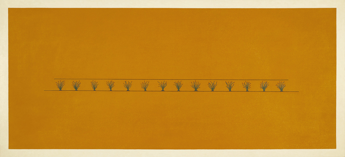 14 Ocotillo